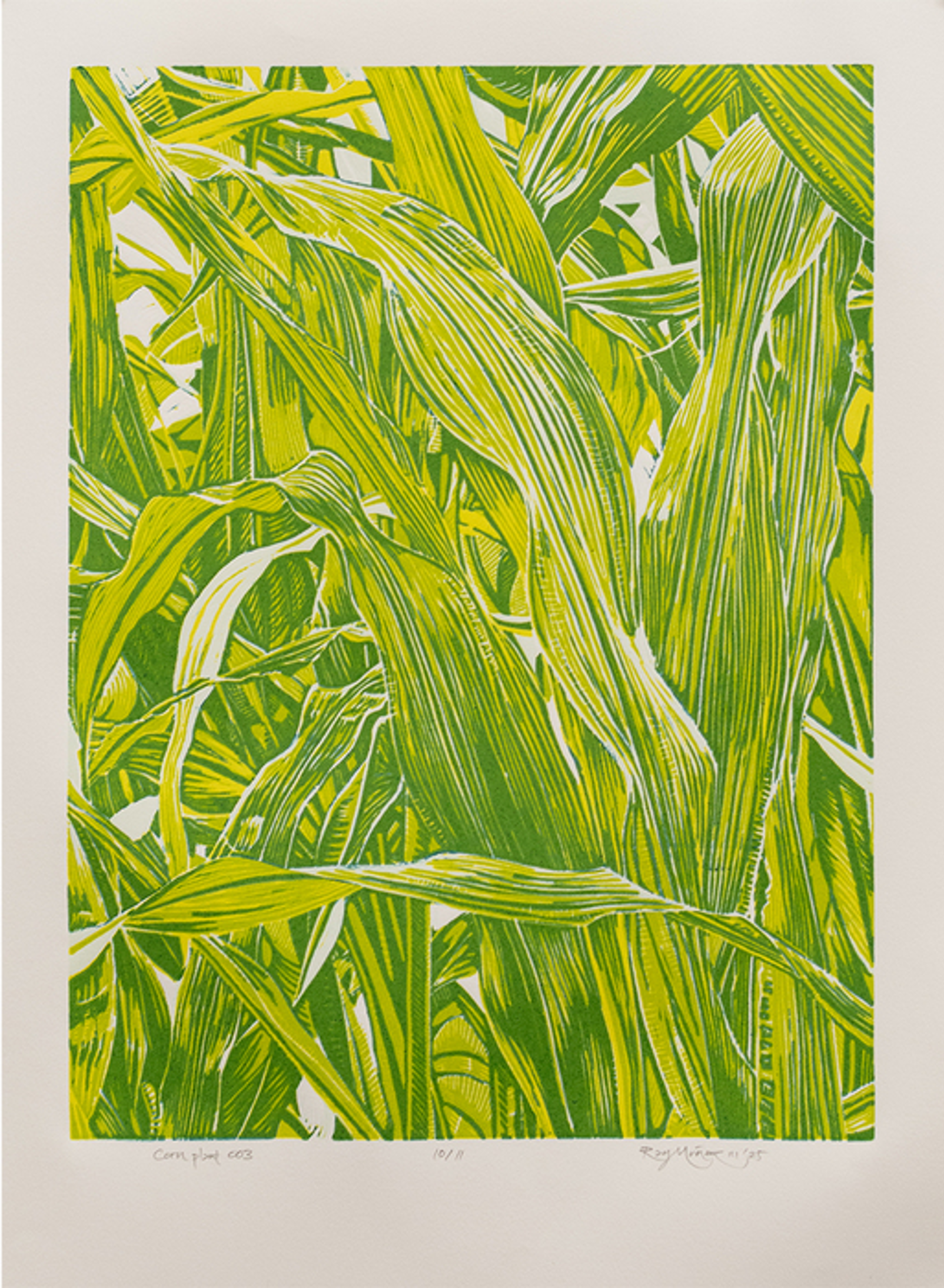 Raymundo Munoz, <em>Corn Plant 03</em>, Linocut